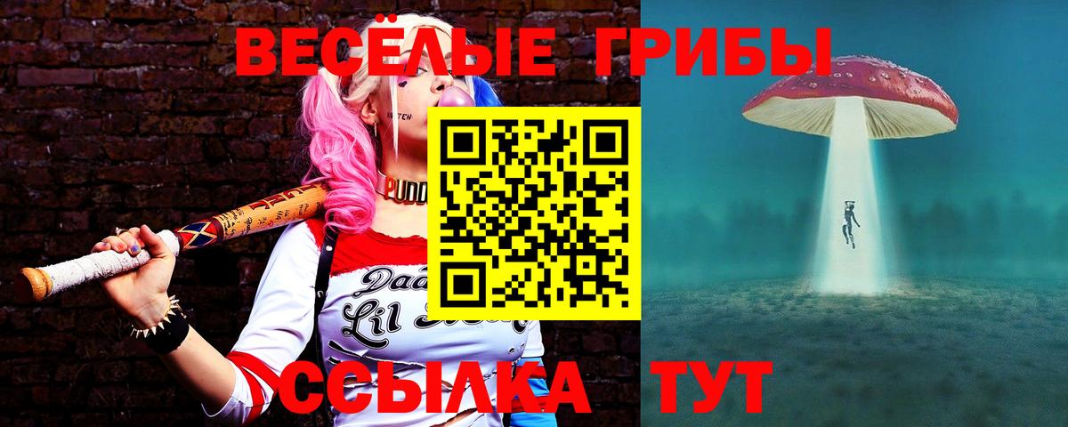 Галлюциногенные грибы Psilocybe  Вход с VPN  купить  сайты  Лениногорск 